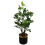 Leaf 60cm Artificial Aglaia Odorata Bonsai Ficus Tree 1