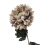 Leaf 75cm Extra Large Reflex Chrysanthemum - Mushroom 1