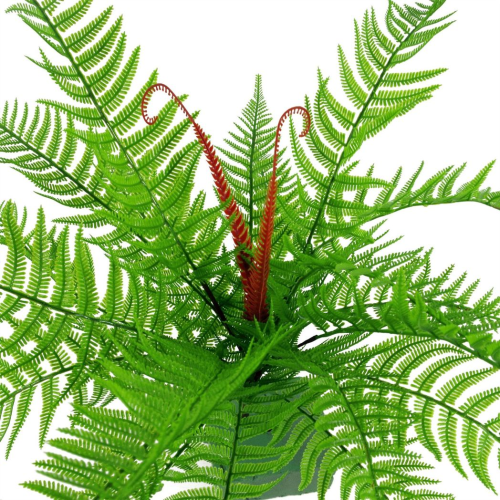 Leaf 55cm x 29cm Jungle Planter with Legs Embossed Lion Elephant Large 1