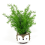 Leaf Pack of 6 x 50cm Artificial Mini Palm Tree 4