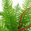 Leaf 55cm x 29cm Jungle Planter with Legs Embossed Lion Elephant Large 3