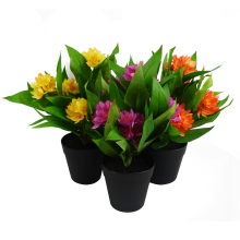 3x 18cm Artificial Freesia Plants Pink. Orange. Yellow Flowering