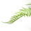 Leaf 40cm Fire Retardant Artificial Palm Tree Stem 4