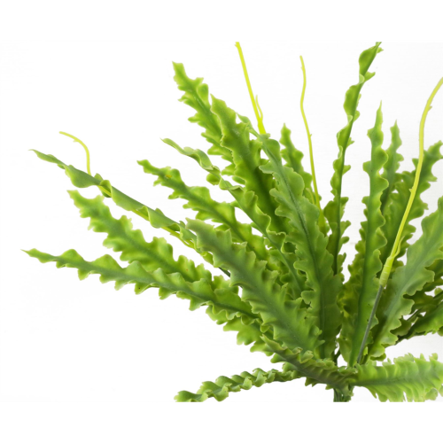 Leaf 32cm x 27cm Honeycomb Planter Composite Plant Pot 2