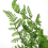Leaf 125cm Artificial Lavender Grass with Pot 2