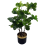Leaf 60cm Artificial Tropical Bonsai Ficus Tree 1