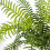 Leaf 180cm Artificial Money Tree Pachira Realistic Faux Tree 5