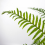 Leaf 180cm Artificial Money Tree Pachira Realistic Faux Tree 6