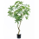 Leaf 180cm Artificial Money Tree Pachira Realistic Faux Tree 1