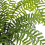 Leaf 180cm Artificial Money Tree Pachira Realistic Faux Tree 3