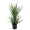 Leaf 70cm Artificial Yucca Plant 1