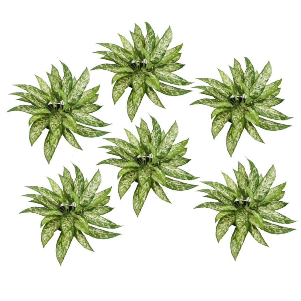 Leaf Aglaonema Fire Retardant Artificial Bush Plant 45Cm 6 Pack - Image 4