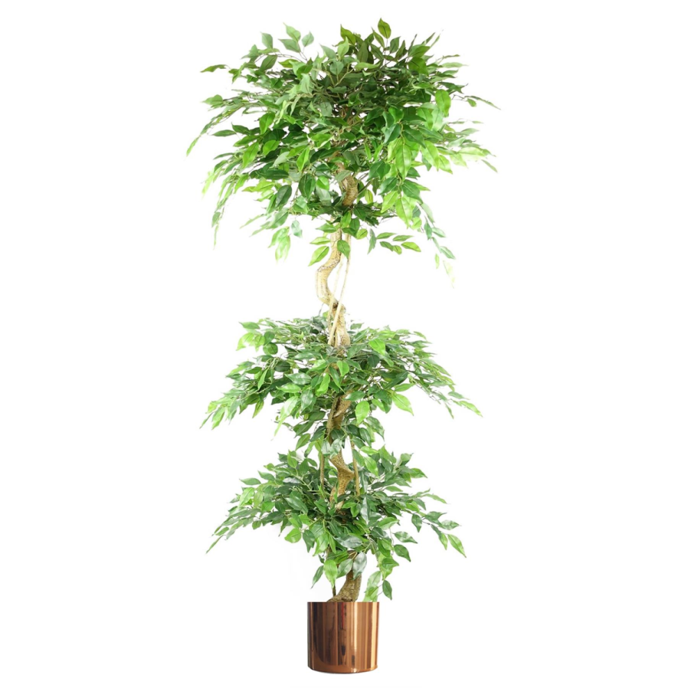 Leaf 180Cm Artificial Twisted Trunk Fruticosa Ficus Tree Triple Ball Topiary 1984 Leaves Copper Metal Planter