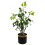 Leaf 60cm Artificial Banyan Bonsai Ficus Tree 1