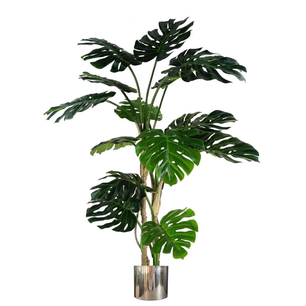 Leaf Unisex Green Artificial Luxury Monstera Plant Black Pot Silver Planter In 150Cm - Image 5