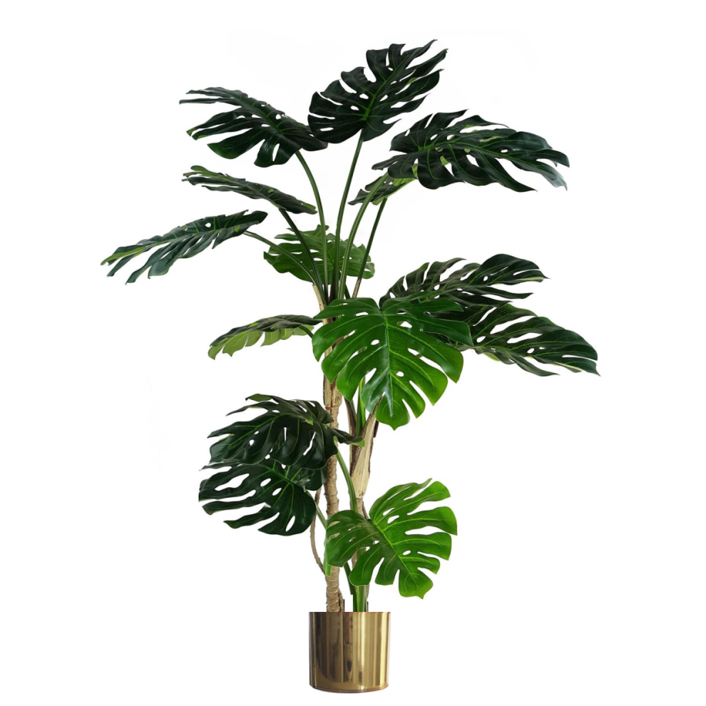 Leaf 150Cm (5Ft) Luxury Monstera Plant Black Pot Gold Metal Planter