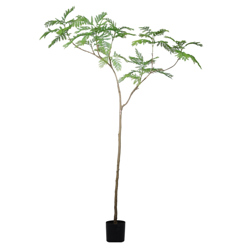 Leaf 240Cm Artificial Jacaranda Realistic Artificial Tree