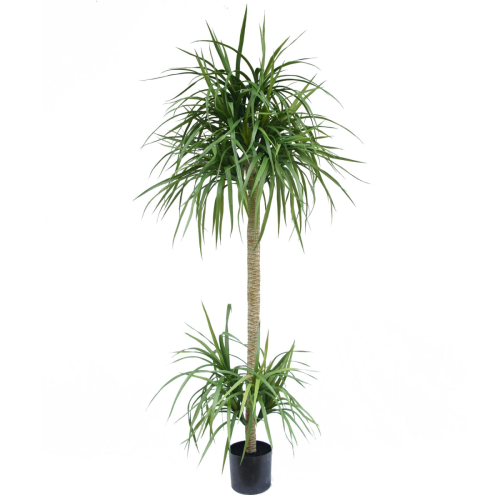Leaf 180cm Dracaena Realistic Artificial Tree