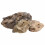 Leaf 32cm x 29cm Brushed Gold Stone Effect Planter Composite Plant Pot 3