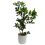 Leaf 45cm Artificial Aglaia Odorata Bonsai Ficus Tree 1