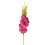 Leaf Pack of 6 x 115cm Artificial Pink Gladioli Stem 1