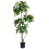 Leaf 150cm Radermachera Realistic Artificial Tree 1