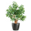 Leaf 70cm Artificial Deluxe Jade Plant 1