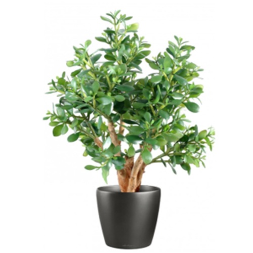 Leaf 70cm Artificial Deluxe Jade Plant