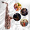 Saxophone Red Antique E-flat Brass Material with 4