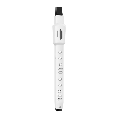 Digital Wind Instrument Portable Automatic 2