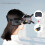 (131905)Battery Storage Bag Head Strap Hanging Accessories Set Pu For Dji Fpv 5