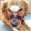 (2047)Soft Dog Muzzle Anti-biting Barking Mesh Breathable Pets Mouth Cover 3
