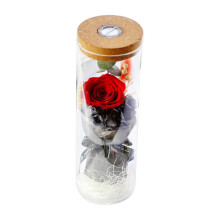 (496) Rode geconserveerde echte rozenbloem in glazen fles, eeuwige rozenbloem cadeau voor vriendin/vrouw
