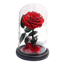 (552) Eeuwige roos rood, kunstmatige rozenbloemen, geconserveerde roos, Valentijnsdag, Moederdag