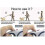 (1569)Dog Leash, 8m Retractable Dog Leash, Walking Training Leash With Removable 4