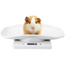 (557) Bilancia digitale per animali domestici Estink con 4 modalità di pesatura (ozmllbg) per misurare