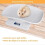 (1349)Digital Pet Scale with LCD Display, 4 Weighting Modes (oz/ML/LB/g) for Pets and Kitchen Measuring 3