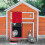 (2467)Automatic Chicken Coop Door, Light Sensor, Evening And Morning Light Sensor, Automatic Chicken 3