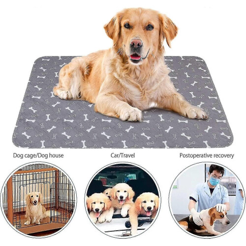 (1924) Tapis d'apprentissage pour chiots, absorbant, lavable et réutilisable, imperméable 2