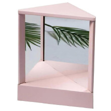 (Light pink46089)Fusitai True Mirror Non Reversing, Triangular Fixed Non-reversing Mirror, Inverted