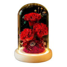 (estilo1211) Decoración de flor eterna: clavel con tapa de cristal y luz. Ideal como regalo de cumplea?os