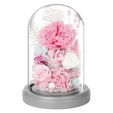 (style1228) Eeuwige bloem anjer gedroogde bloem decoratie glazen deksel en verlichte voet vakantie