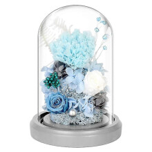 (style2229) Eeuwige bloem anjer gedroogde bloem decoratie glazen deksel en verlichte voet vakantie