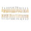 (28pcs Teeth294)Standard  Gum Teeth Teaching Model Demonstration 4