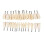 (28pcs Teeth294)Standard  Gum Teeth Teaching Model Demonstration 1