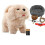 (4,8*7,6*6,4 pulgadas) Perro robot electrónico interactivo para ni?os (844) 2