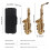 Eb Alto Saxophone Brass Lacquered Gold E Flat Sax 14