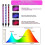(Style51943) Lampada per piante a 4 teste, luce per piante a LED a spettro completo per piante da interno 4
