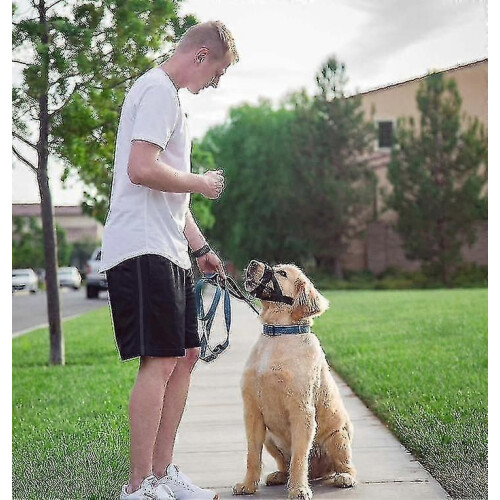 (2013)Dog Soft Anti-biting Barking Secure,mesh Breathable Pets Muzzle For Dogs 2
