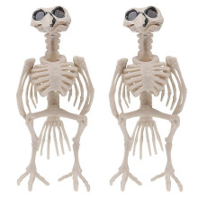 (643) 2 stuks mannequin Halloween enge decoratie skeletten Halloween volledige grootte spookhuis rekwisieten